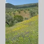 Prázdninový dům Cortijo 