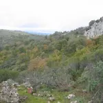 Prázdninový dům Cortijo 