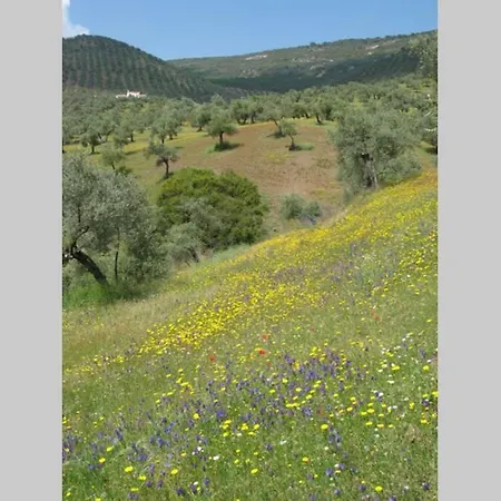 Holiday home Cortijo 