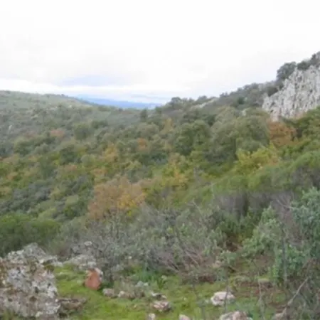 Holiday home Cortijo 