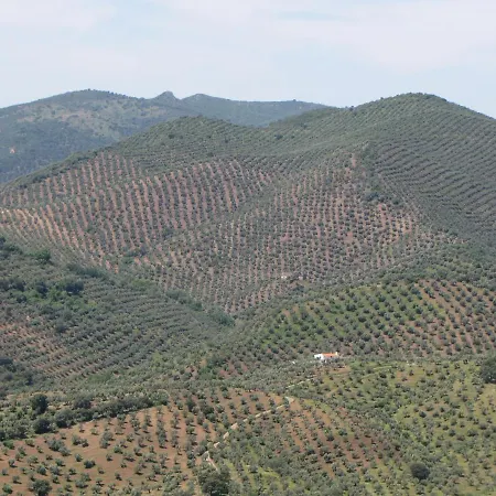 Holiday home Cortijo 