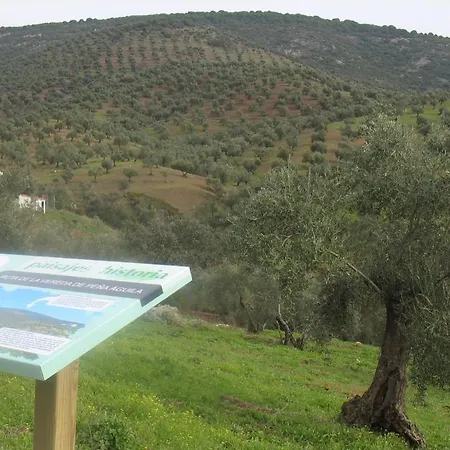 Casa vacanze Cortijo 