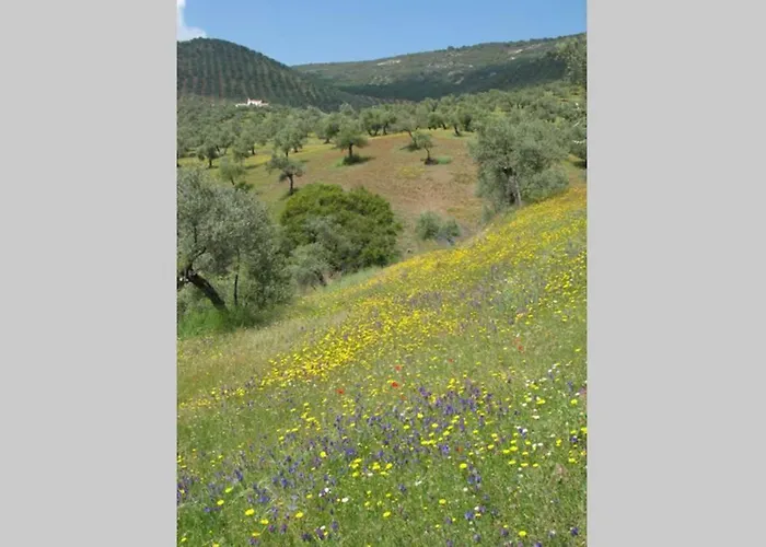 Σπίτι διακοπών Cortijo 