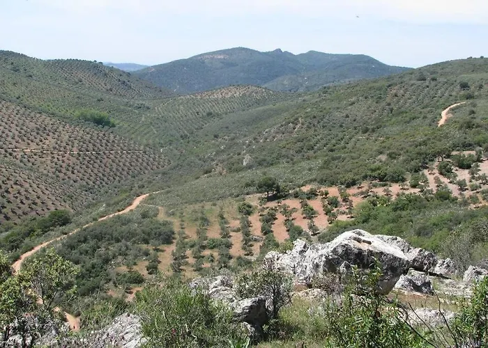 Σπίτι διακοπών Cortijo 