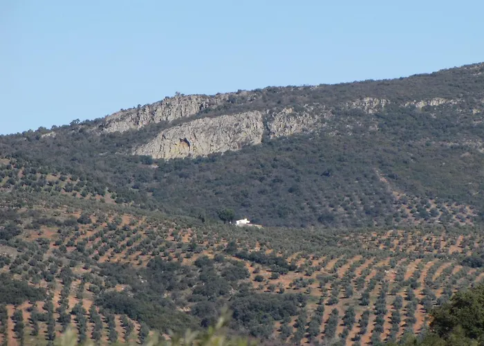 Cortijo 