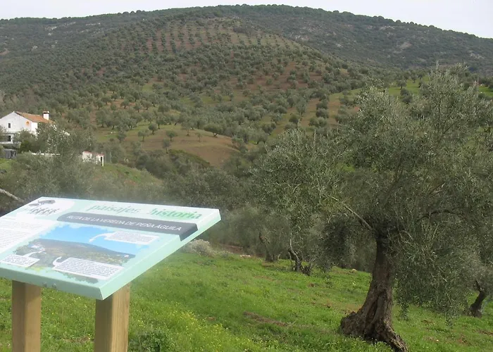 Σπίτι διακοπών Cortijo 