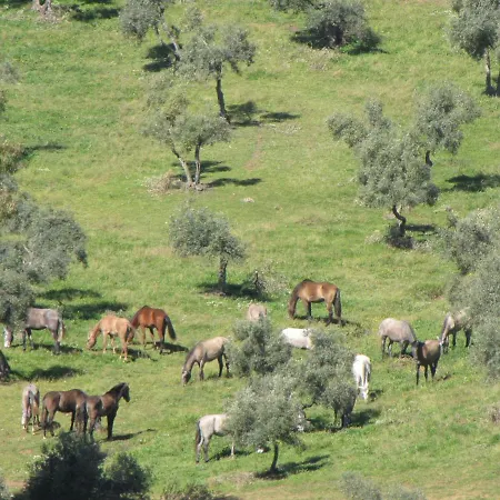 Vakantiehuis Cortijo Era Grande 2 Córdoba