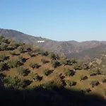 Cortijo 