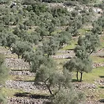 Cortijo 