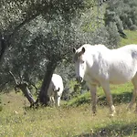 Cortijo 