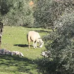 Cortijo 