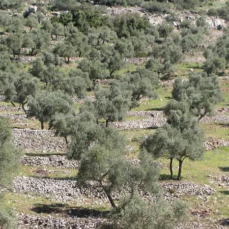 Cortijo Era Grande 2